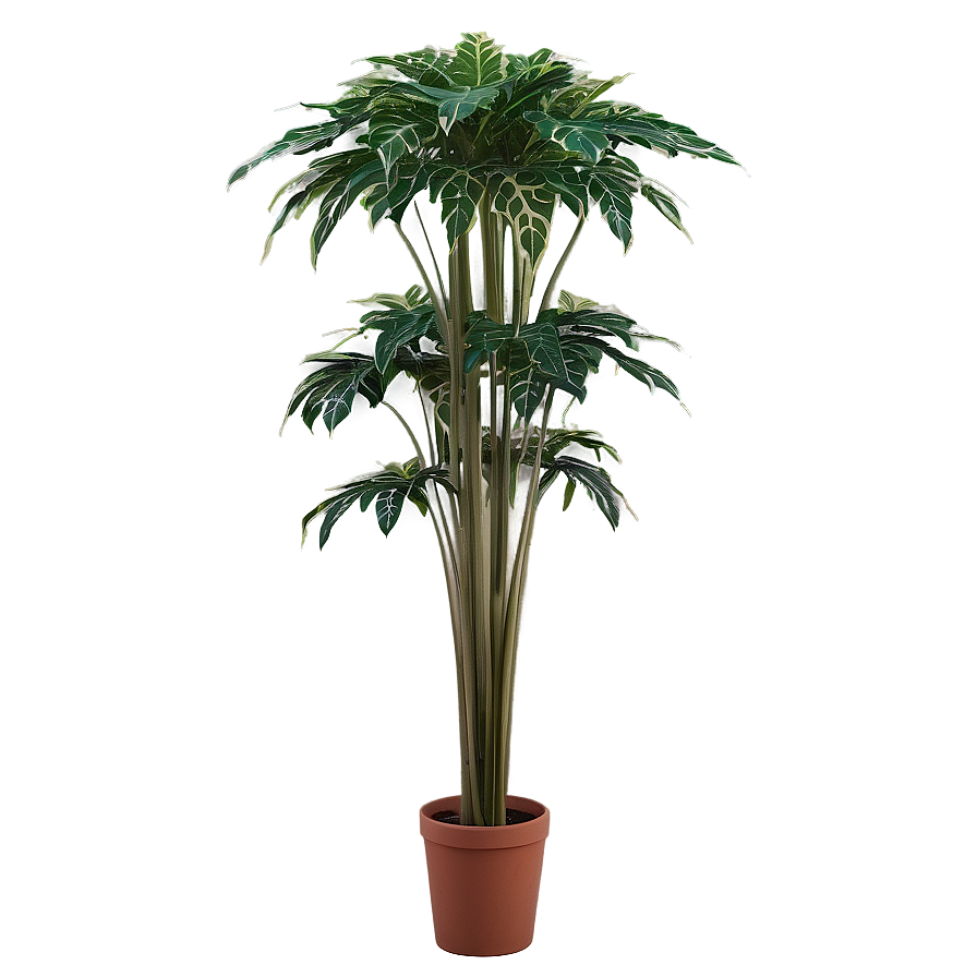 Tall Plant In Natural Light Png Wdx