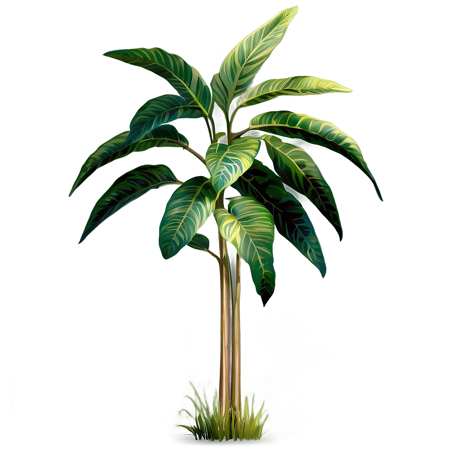 Tall Plant On Transparent Background Png 06282024