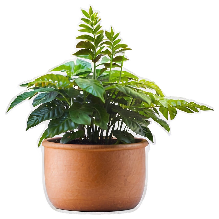 Tall Plant On Transparent Background Png 62