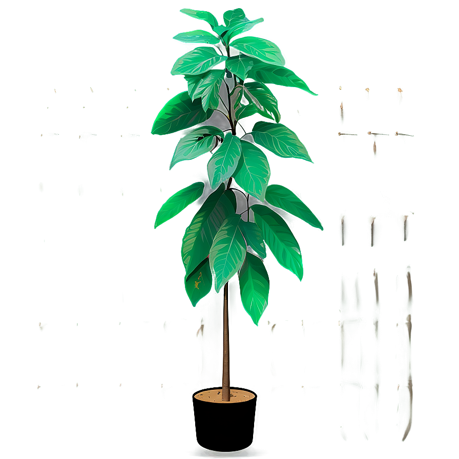 Tall Plant On Transparent Background Png Wan