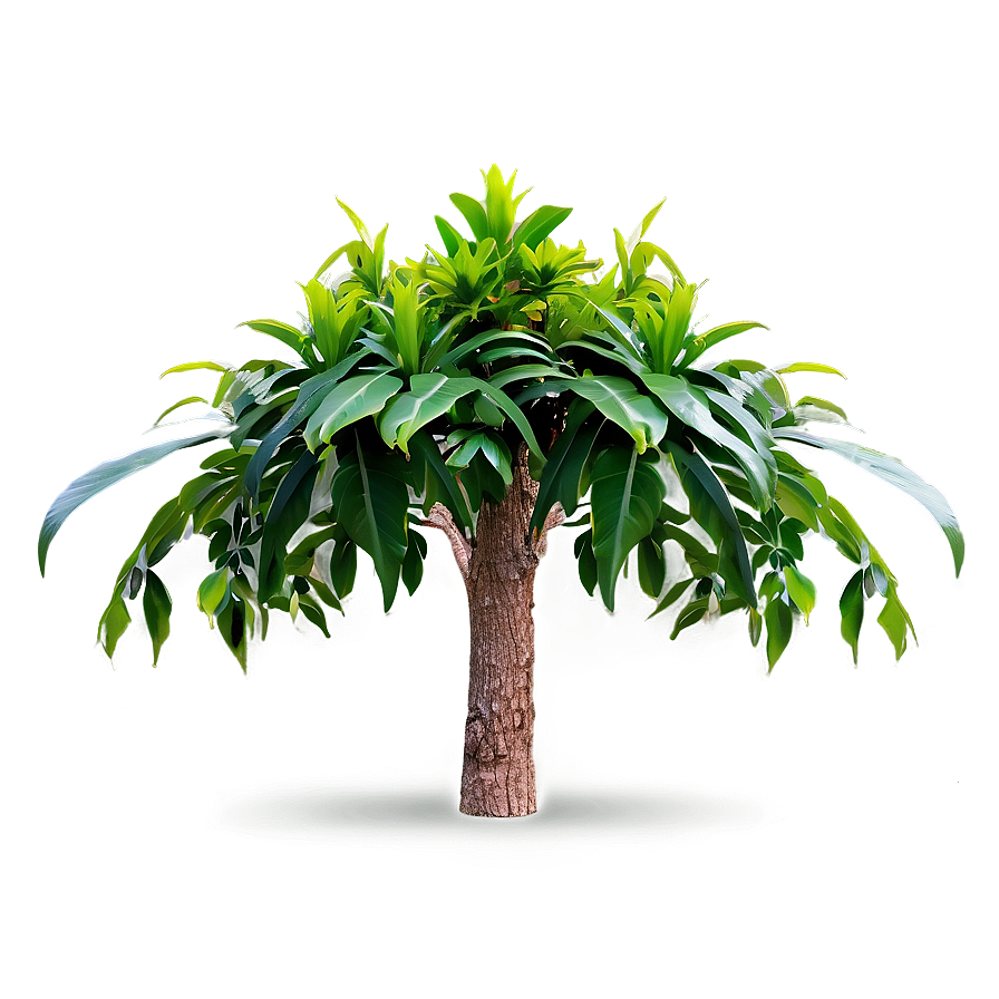 Tall Plant Png 06282024