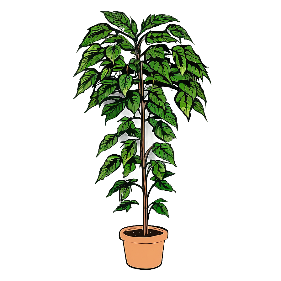 Tall Plant Sketch Png 70