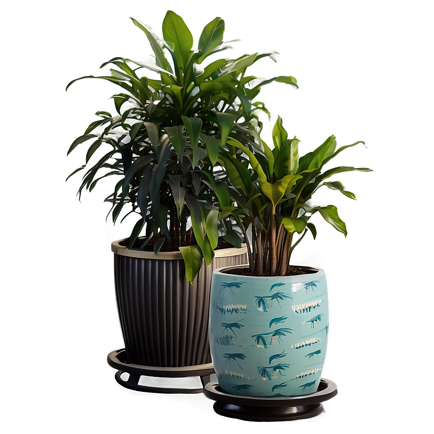 Tall Potted Plants For Privacy Png Erx22