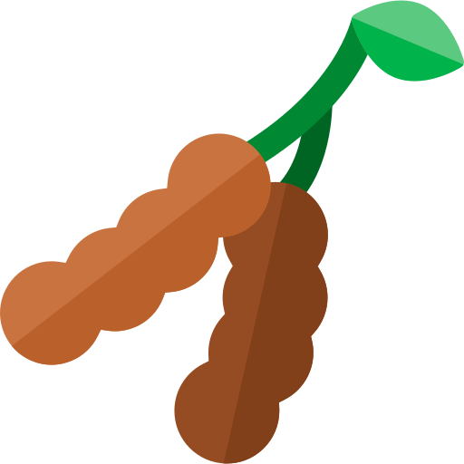 Tamarind Pod Vector Illustration