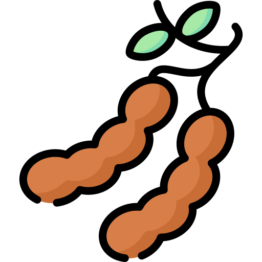 Tamarind Pod Vector Illustration