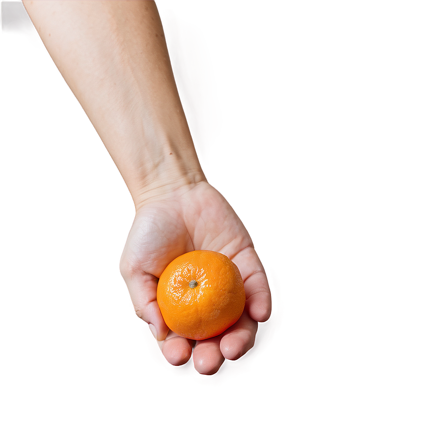 Tangerine In Hand Png Jlg