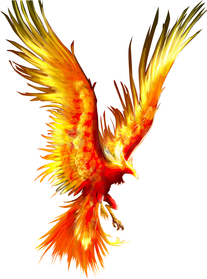 Tattoo Fireworks Mythology Firebird Phoenix Download - Phoenix Fire Bird Png, Transparent Png PNG with transparent background
