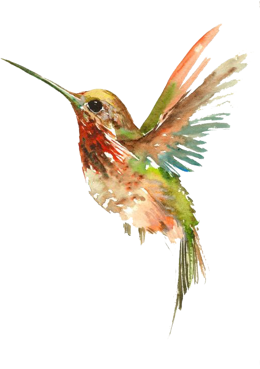 Tattoo Flying Watercolor Painting Bird Hummingbird - Cool Watercolor Hummingbird Tattoo, HD Png Download PNG with transparent background