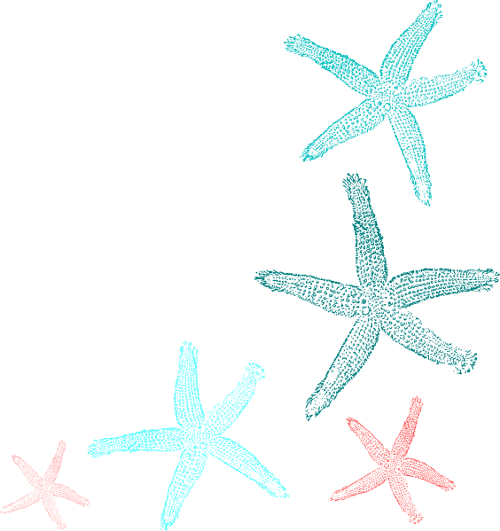 Teal Starfish, HD Png Download PNG with transparent background