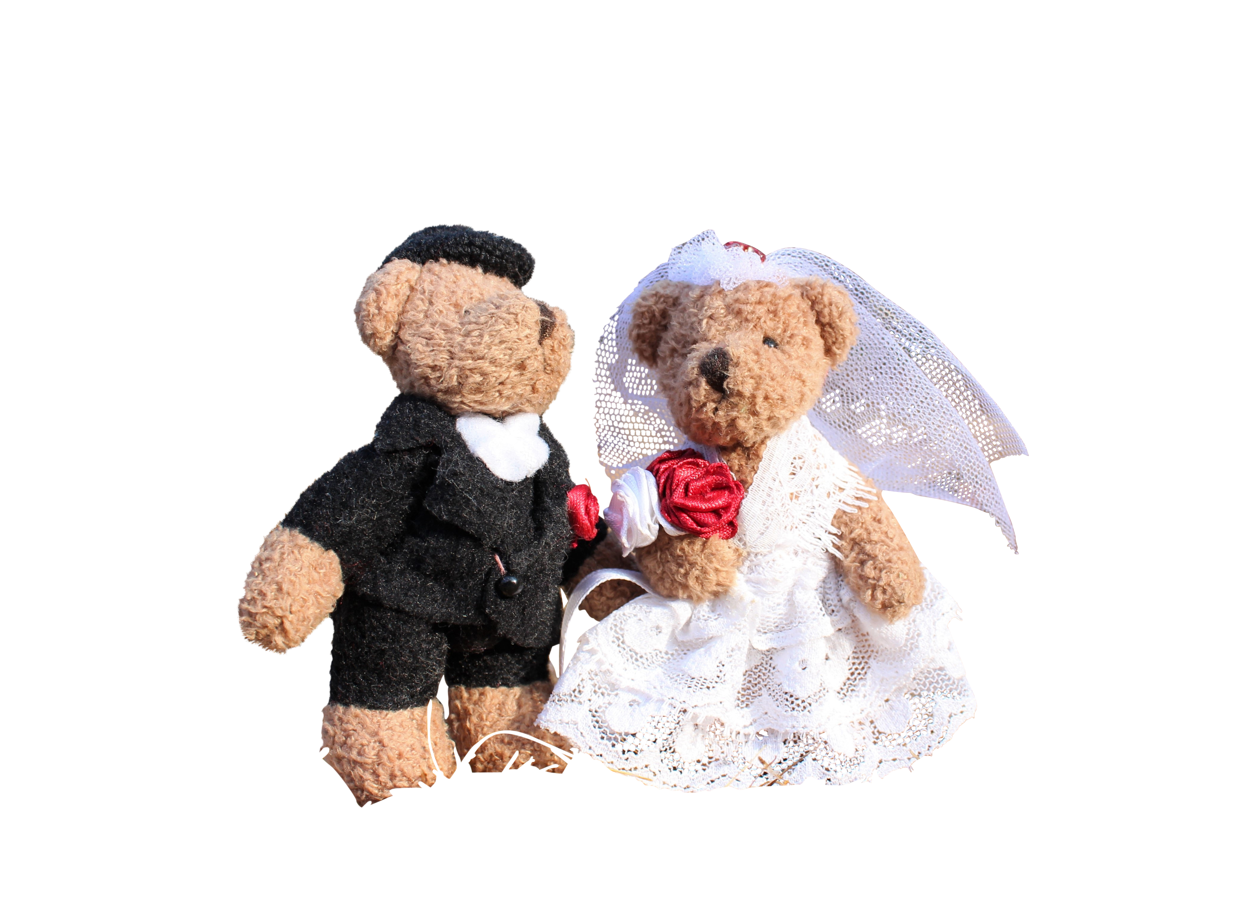 Teddy Bear Wedding Couple Black Background PNG with transparent background