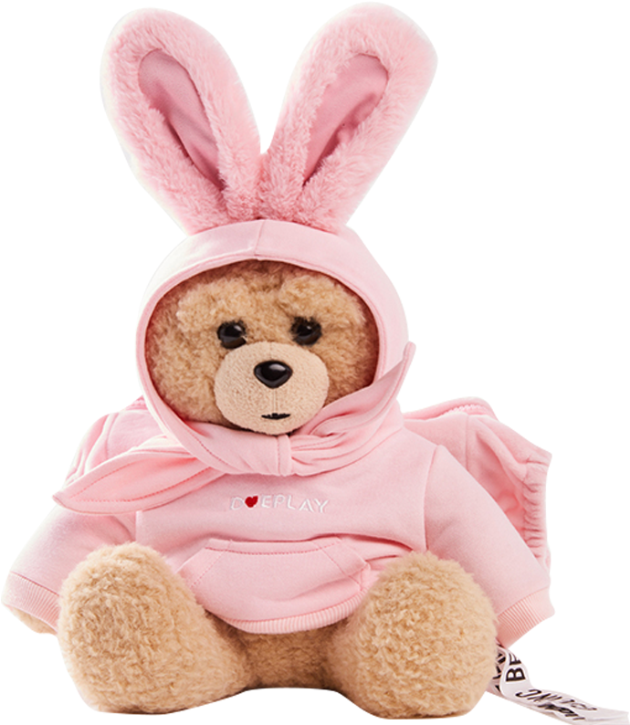 Teddy Bearin Bunny Hoodie PNG with transparent background