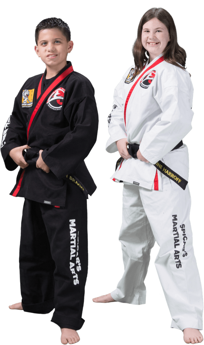Martial Arts And Karate Classes For Teens Southlake - Karate, HD Png Download PNG with transparent background