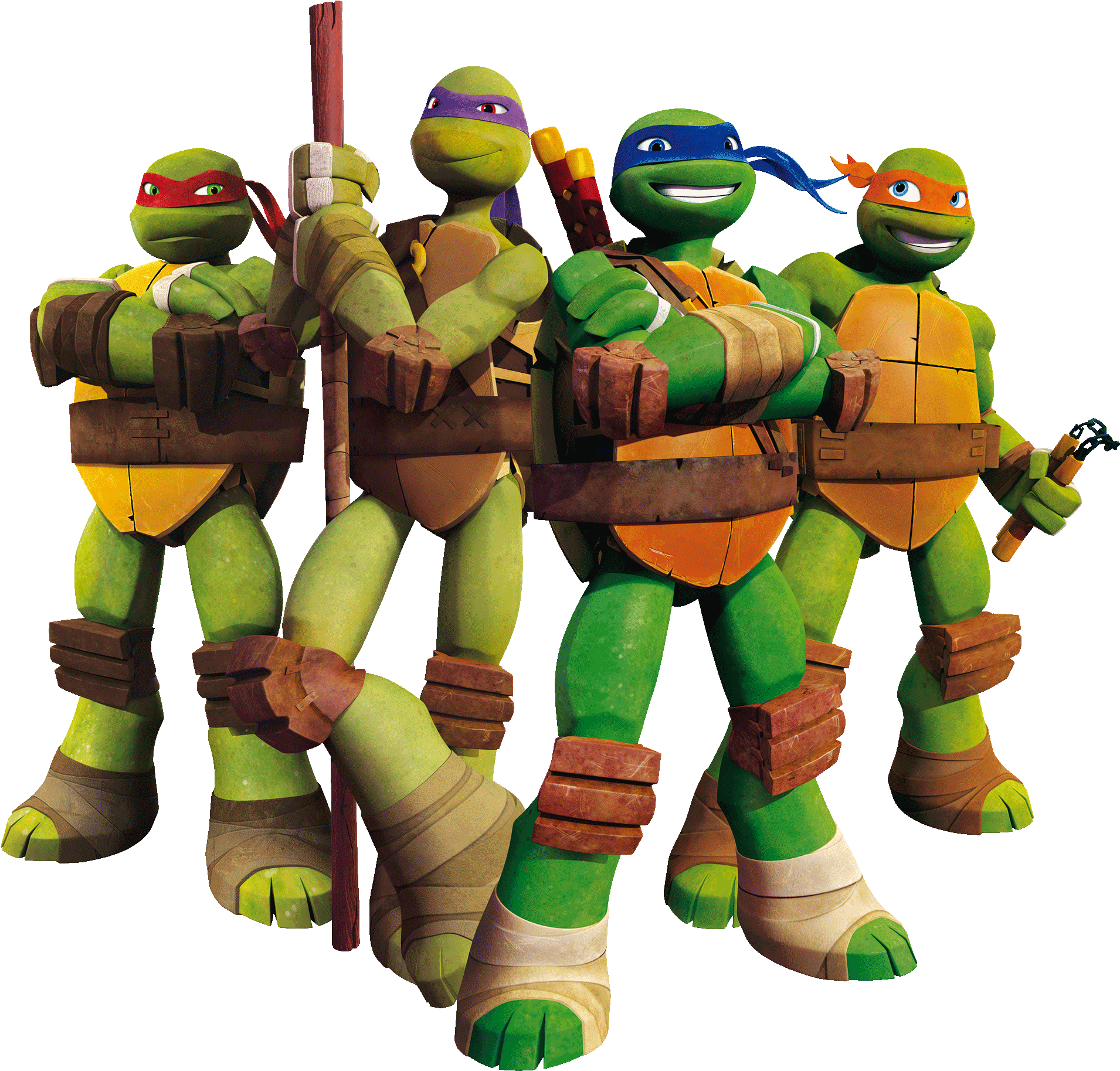 Teenage Mutant Ninja Turtles Team Pose