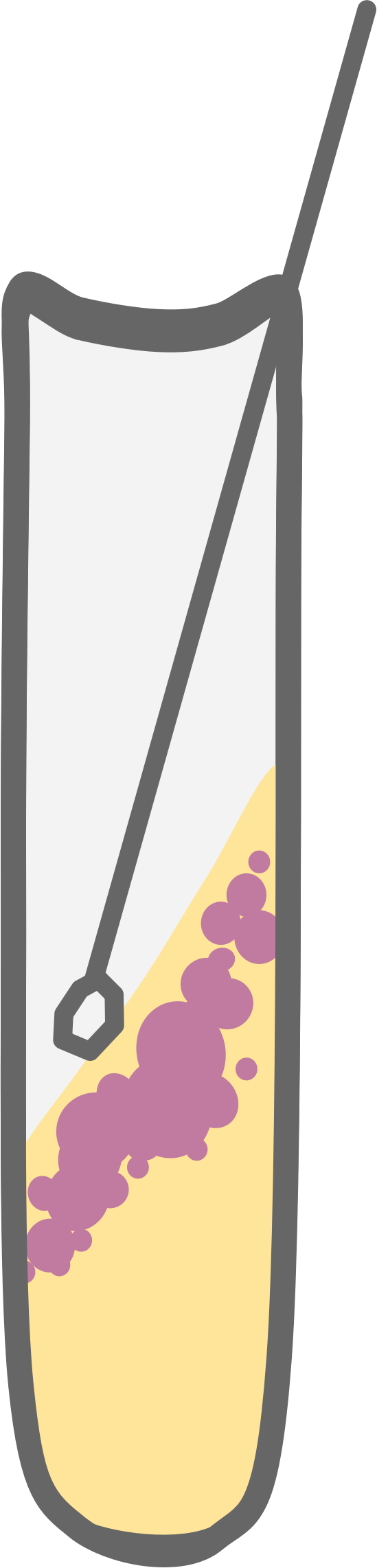 Bacterial Culture Tube Clip Arts - Test Tube Clipart Bacteria, HD Png Download PNG with transparent background