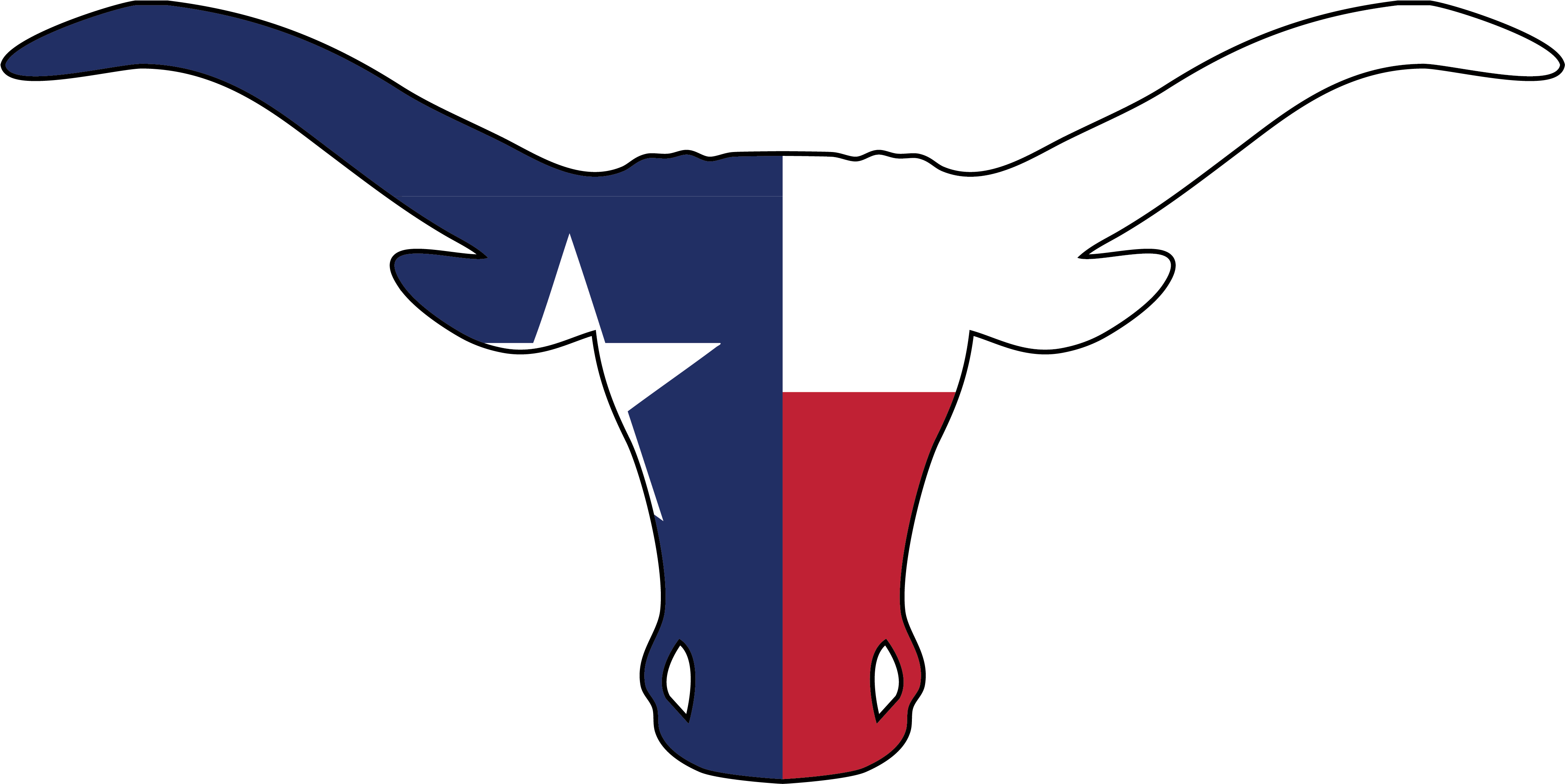 Texas Flag Longhorn Silhouette