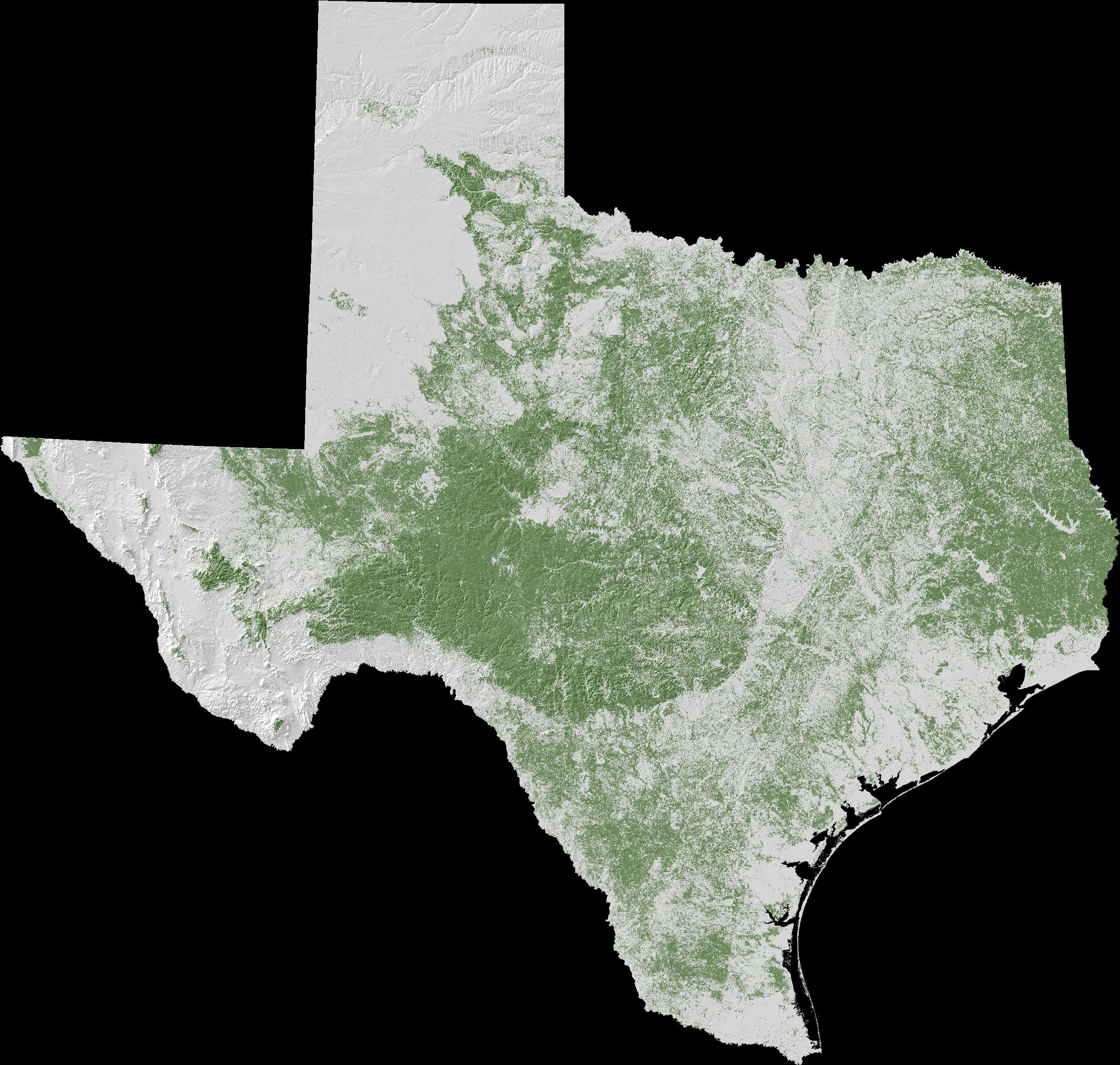 Texas Vegetation Map PNG with transparent background