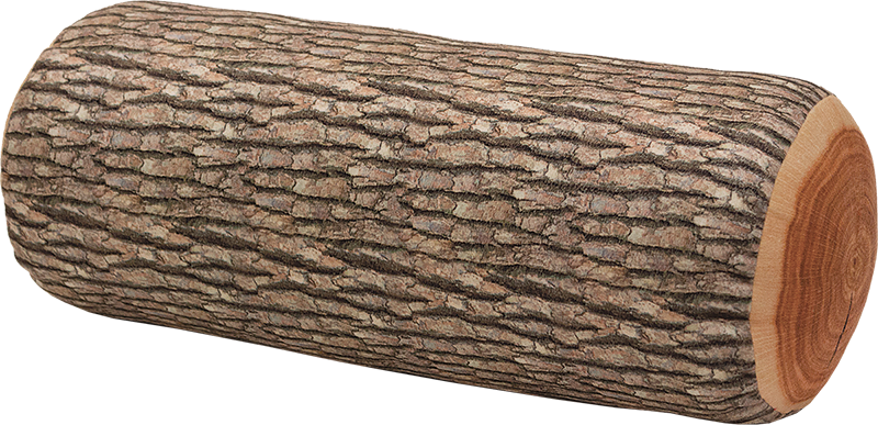 Textured Tree Log Isolated Background PNG with transparent background