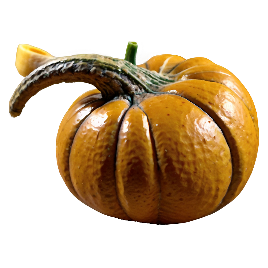 Thanksgiving Gourd Png Jew91