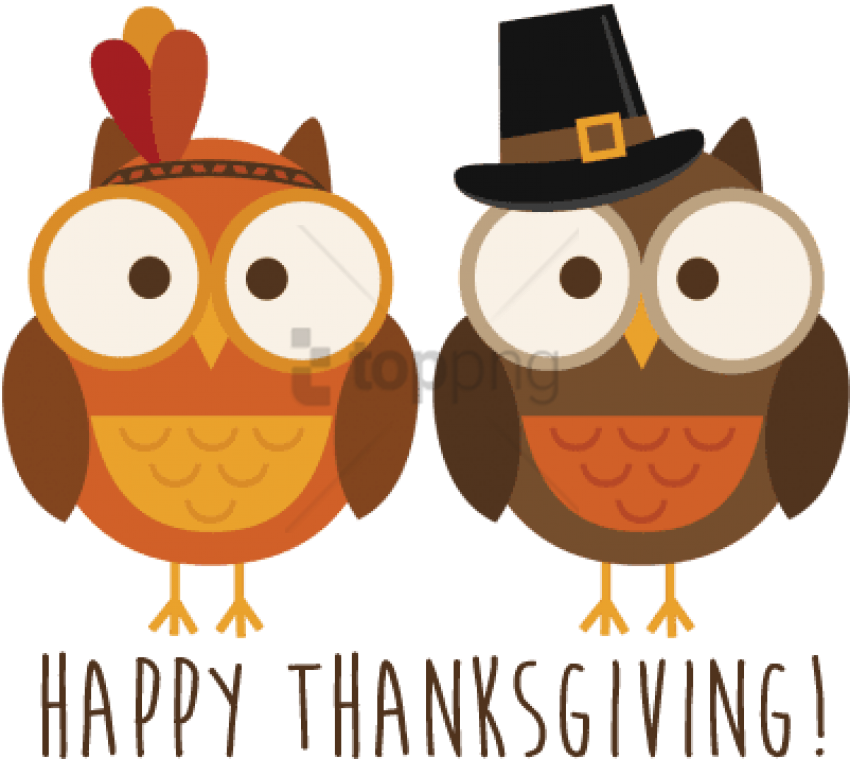 Thanksgiving Owls Celebration