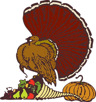 Thanksgiving Turkey Illustration PNG with transparent background