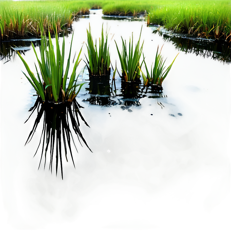 Thick Swamp Grass Png Pna