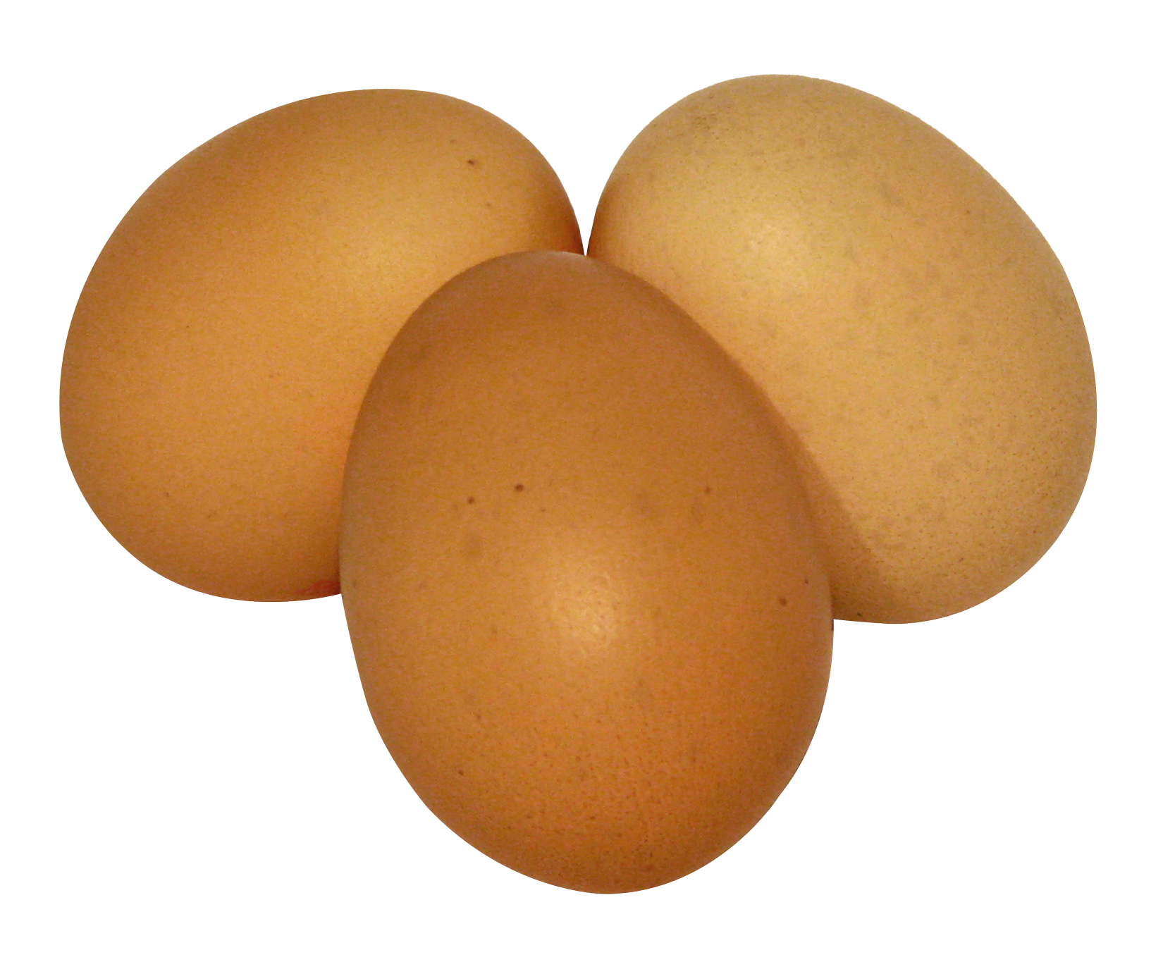 Three Brown Eggson Gray Background PNG with transparent background