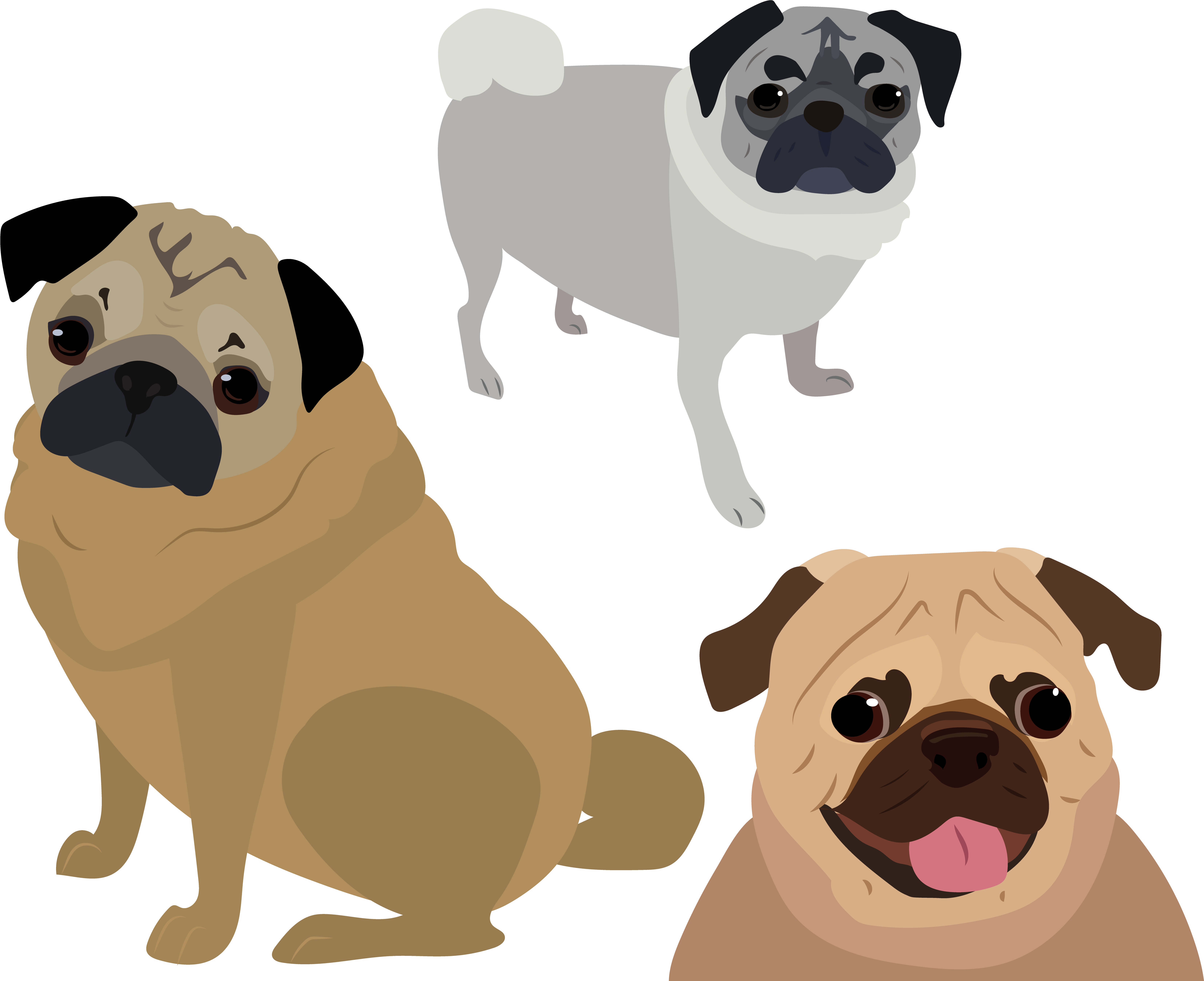 Three Cartoon Pugs Illustration