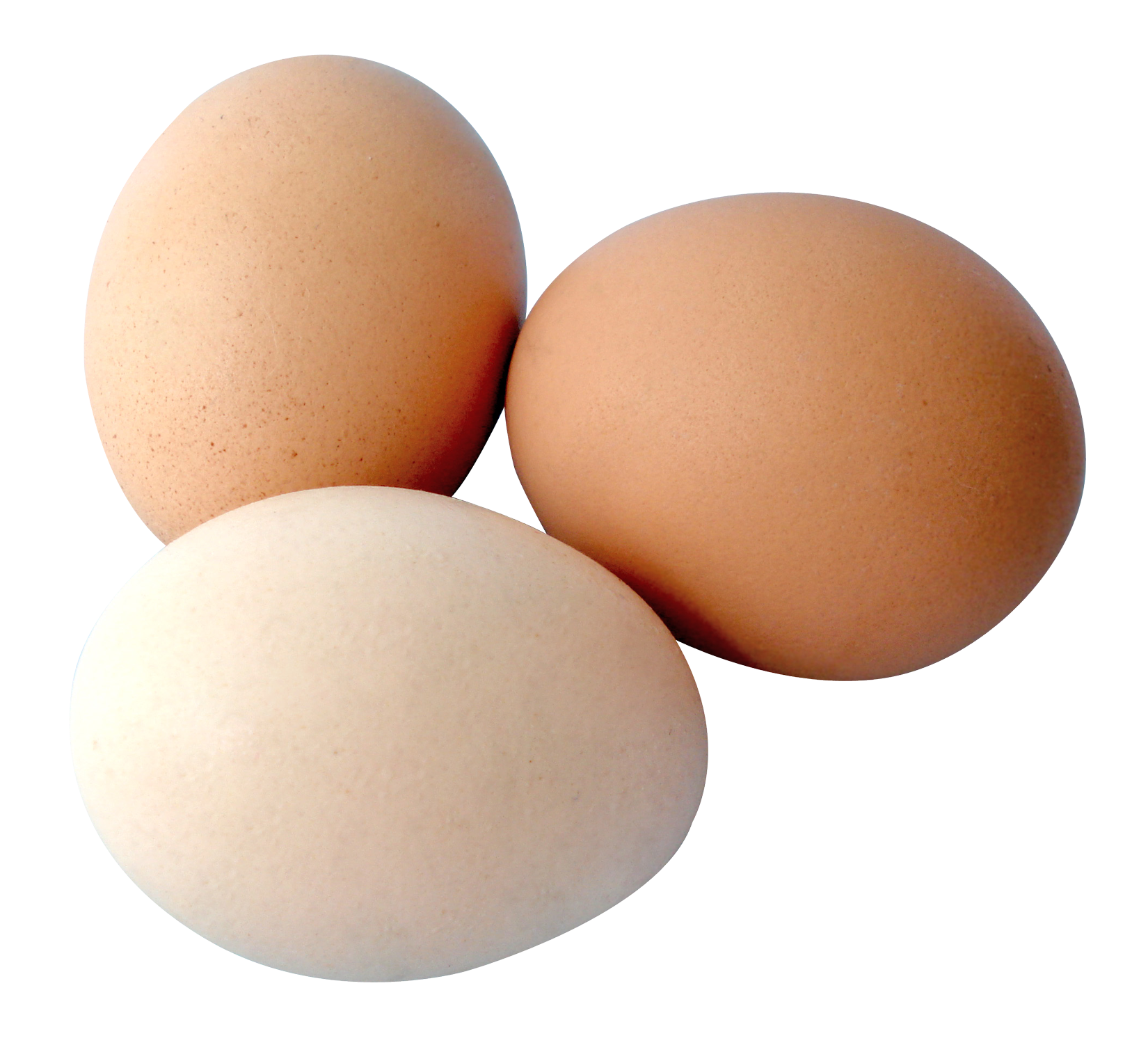 Three Fresh Eggs Isolated PNG with transparent background