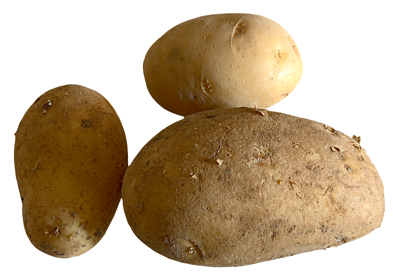 Three Fresh Potatoes