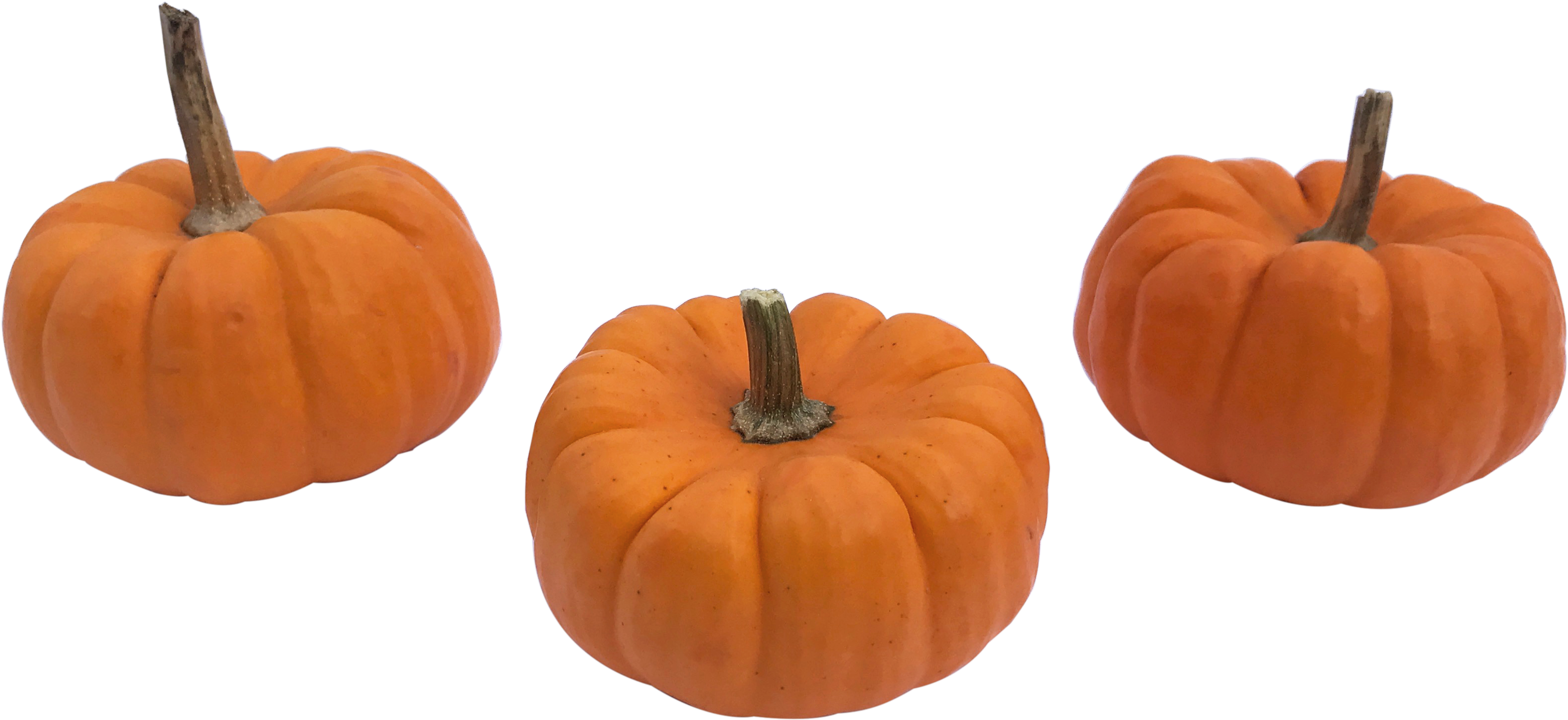 Mini Pumpkin Png - Small Pumpkin Png, Transparent Png PNG with transparent background