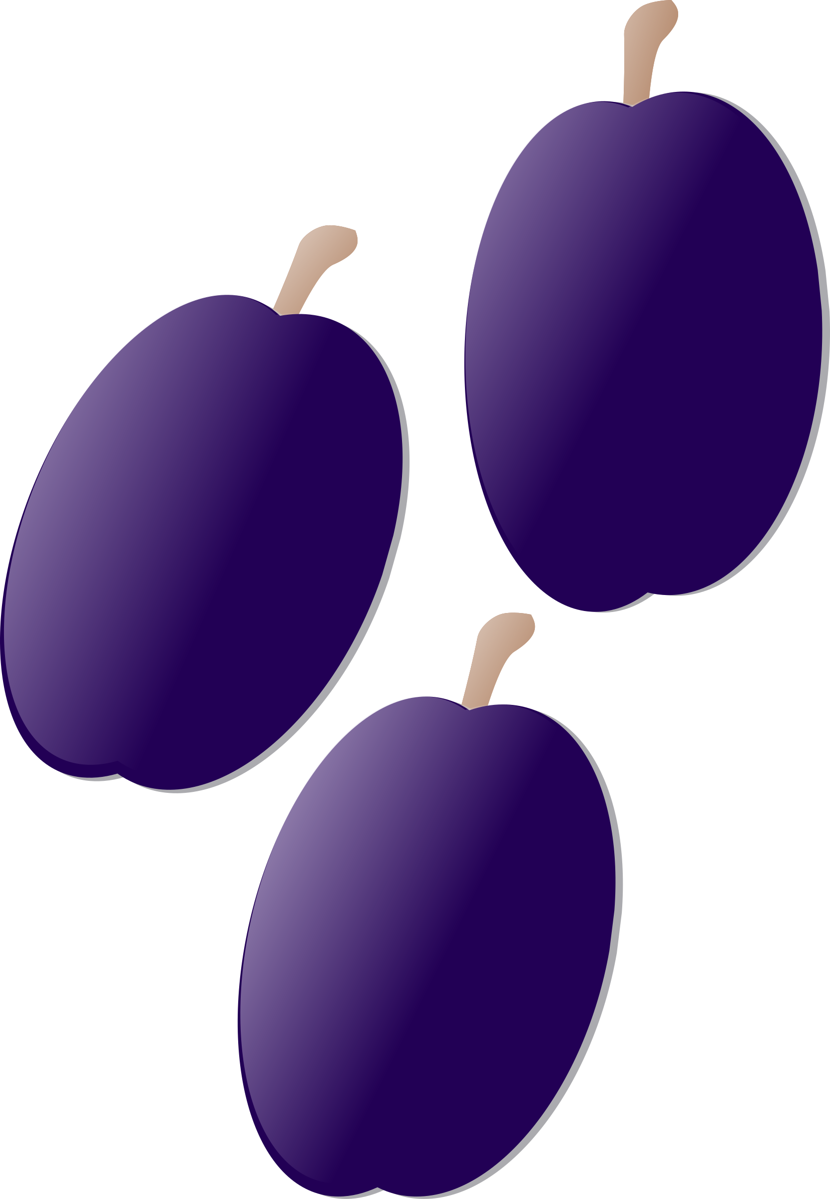 Three Plums Illustration