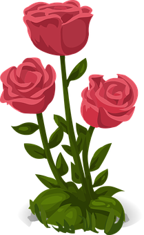 Three Red Roses Illustration PNG with transparent background