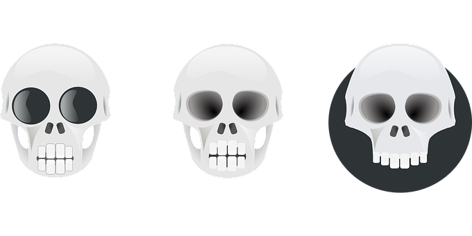 Three Skull Graphic Variations PNG with transparent background