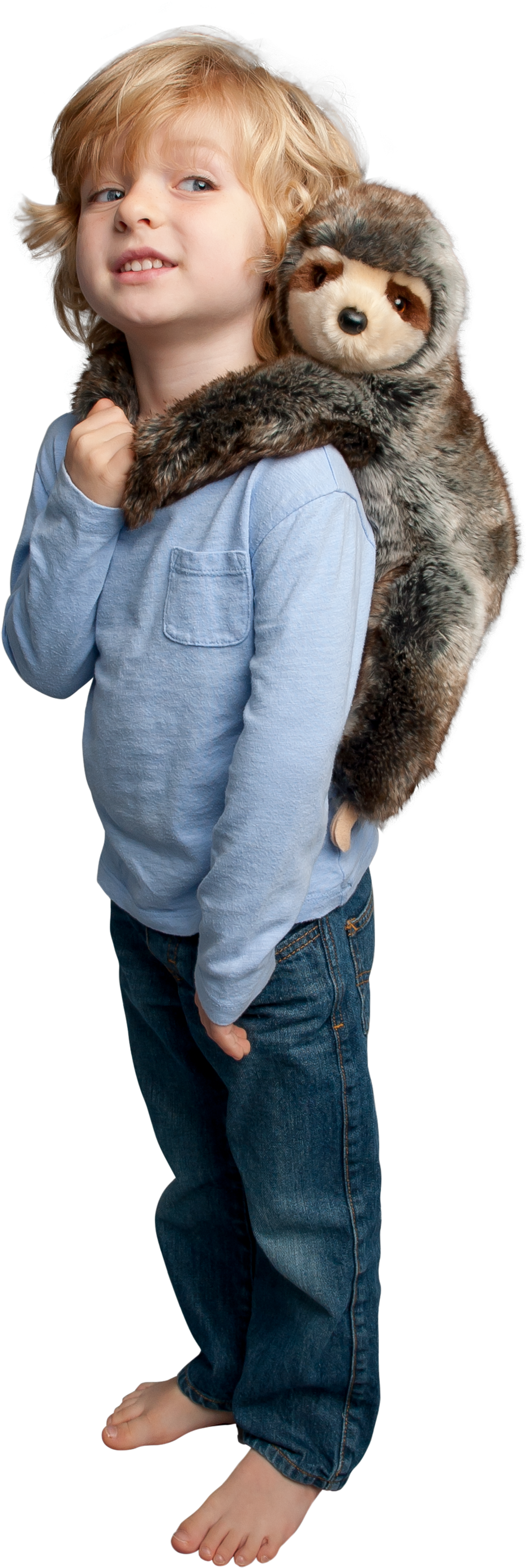 Three Toed Sloth, HD Png Download PNG with transparent background