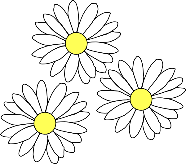 Three White Daisies Illustration.png