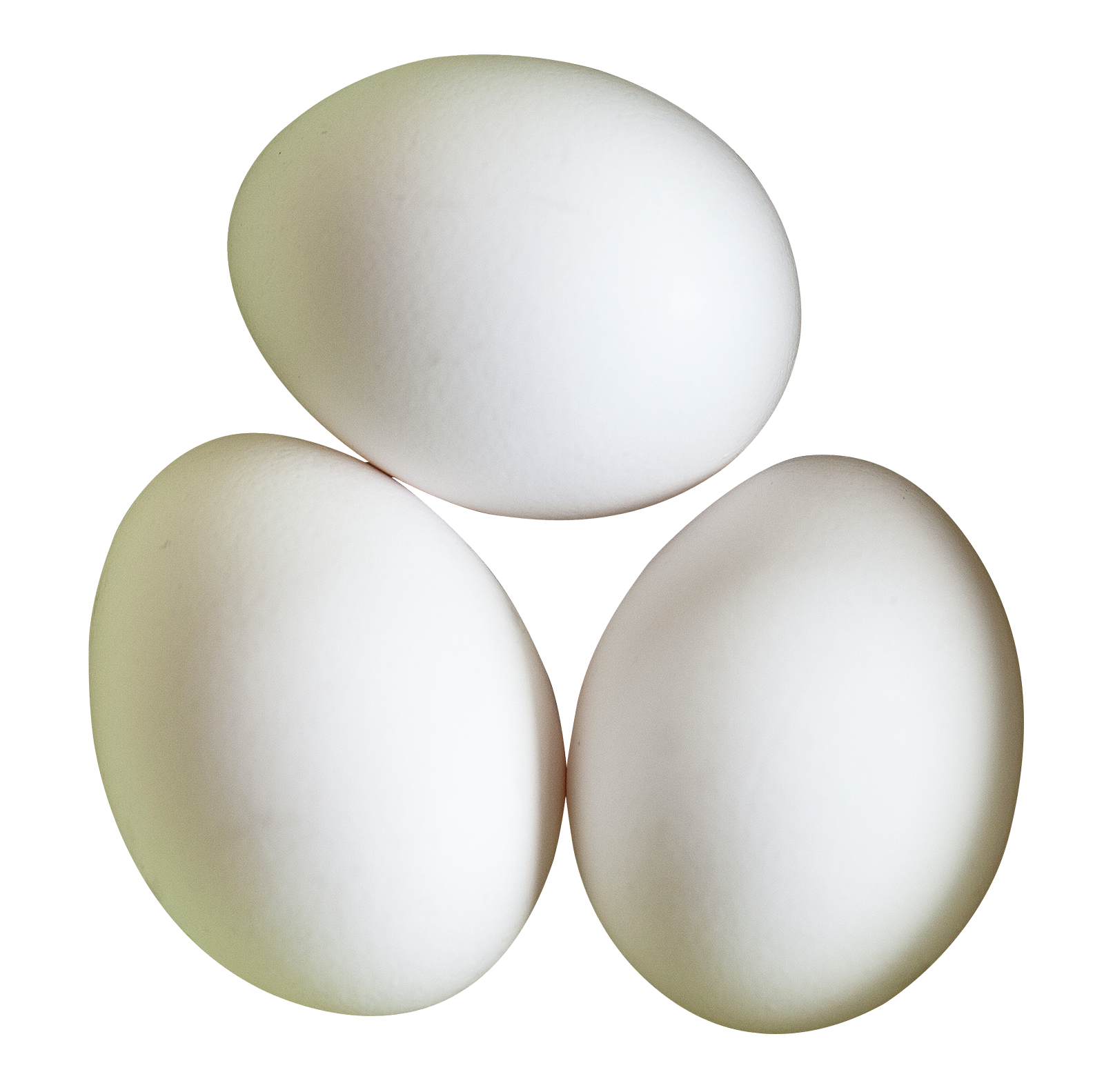 Three White Eggson Gray Background PNG with transparent background