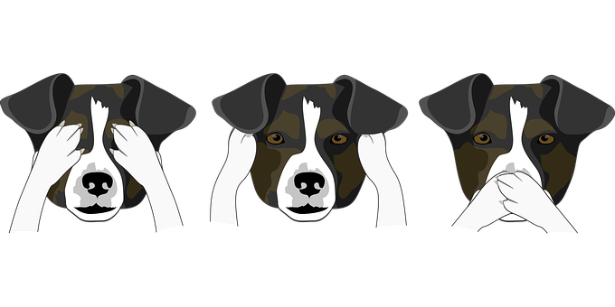 Three Wise Dogs Illustration PNG with transparent background