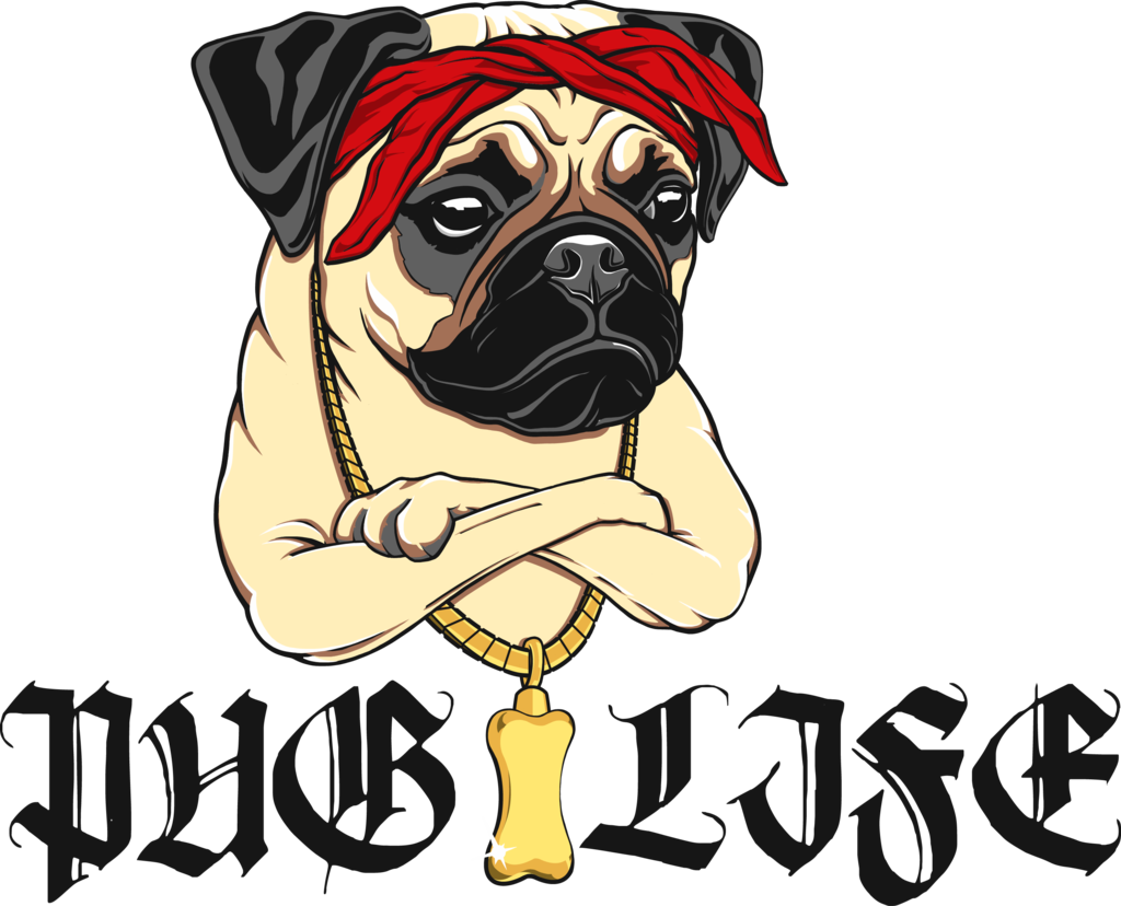 Thug Life Pugwith Gold Chainand Bandana