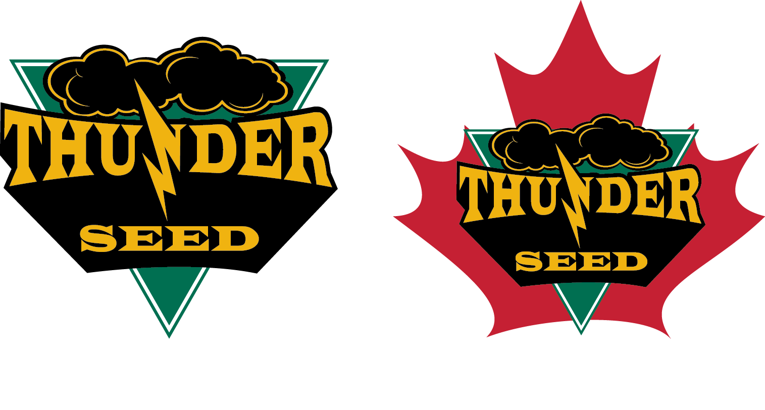 Thunder Seed PNG image with a transparent background, free high-resolution download