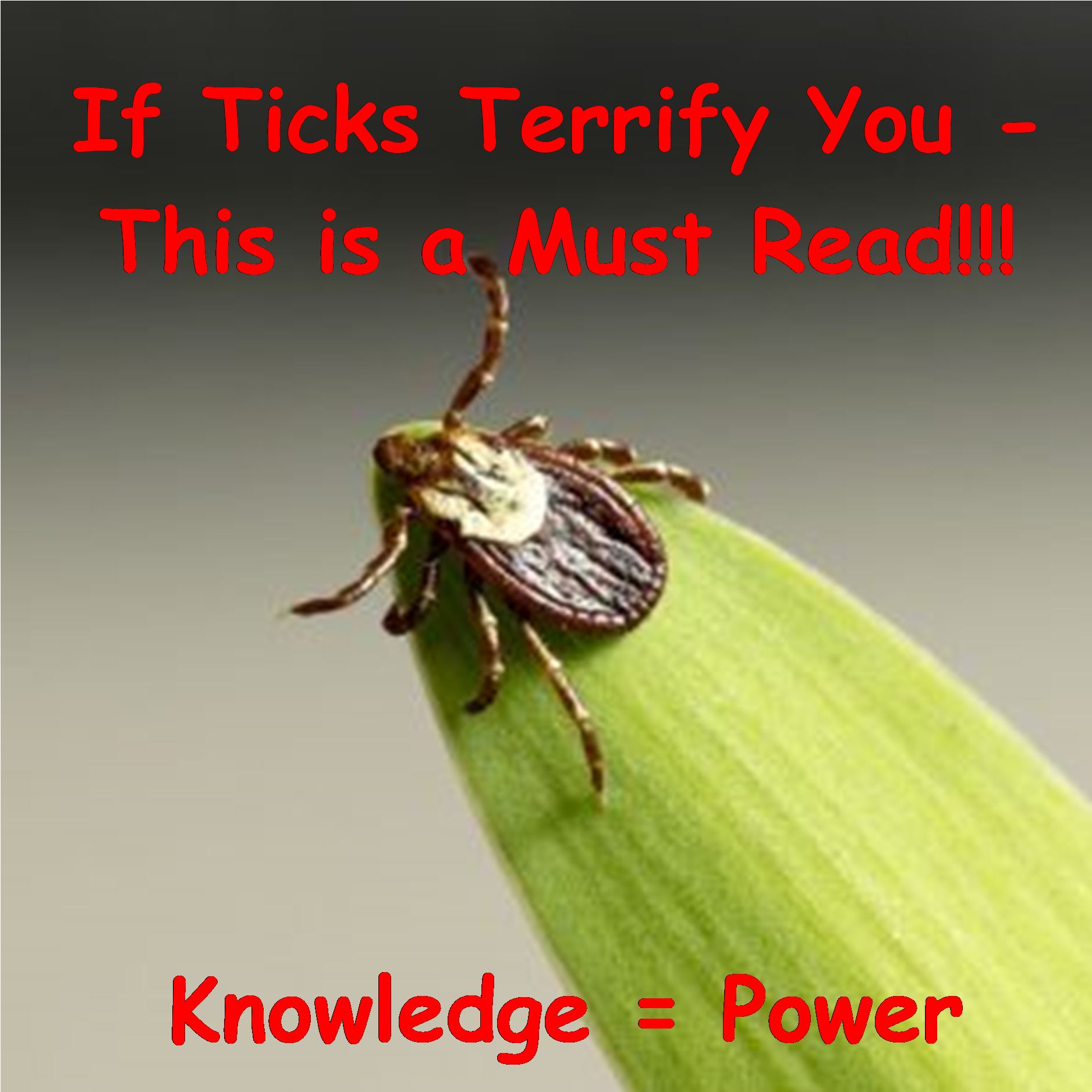 Tick Information Alert