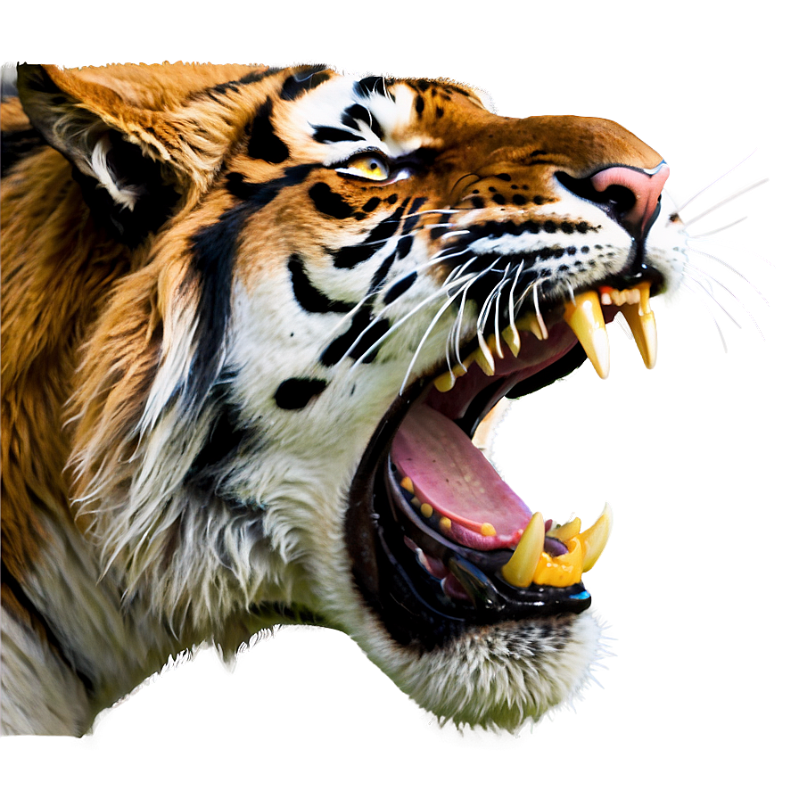 Tiger Face Roar Png 05042024