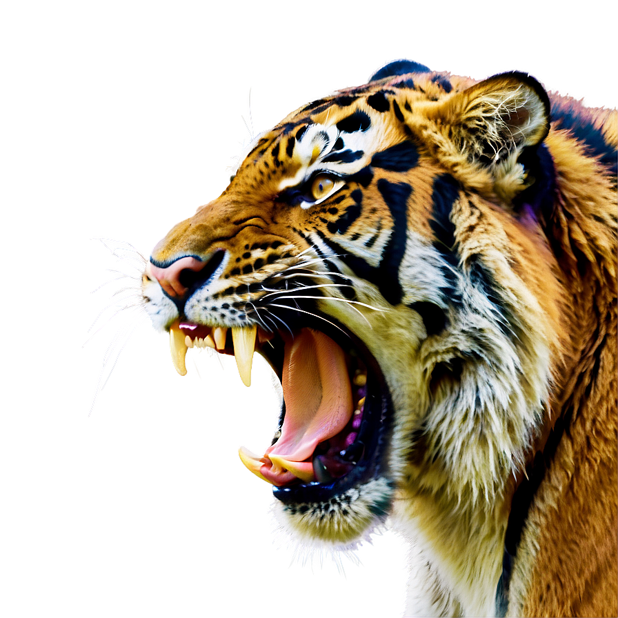 Tiger Growling Png Qty55