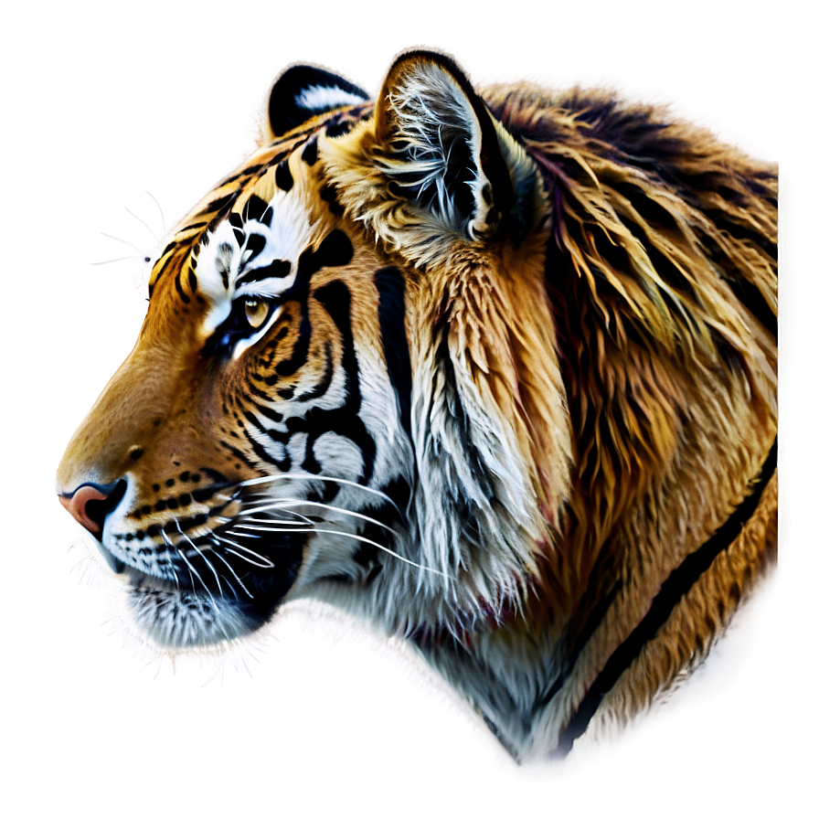 Tiger Head Png 92