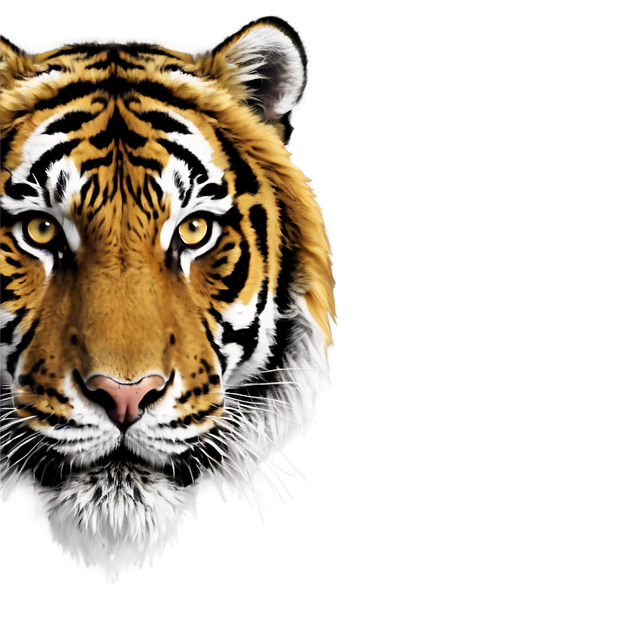 Tiger Head Png Gkj