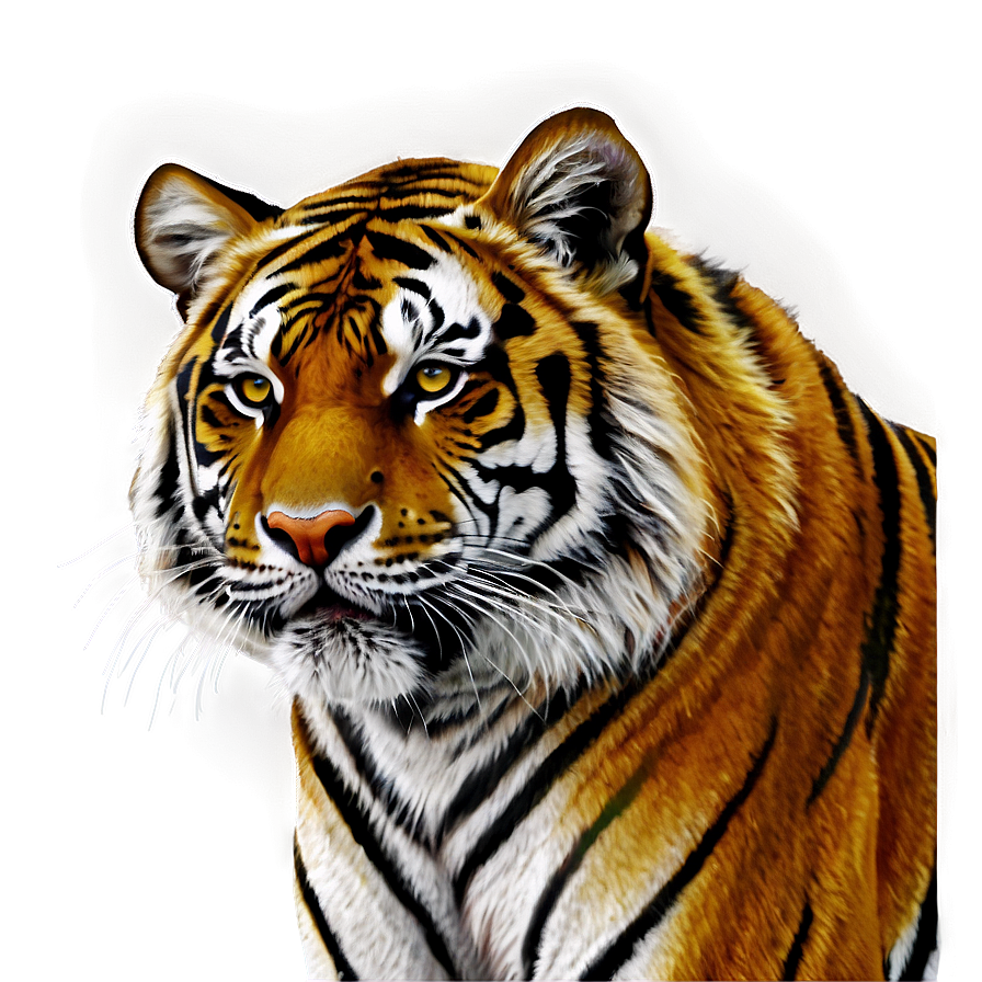 Tiger In Night Png Lpn21