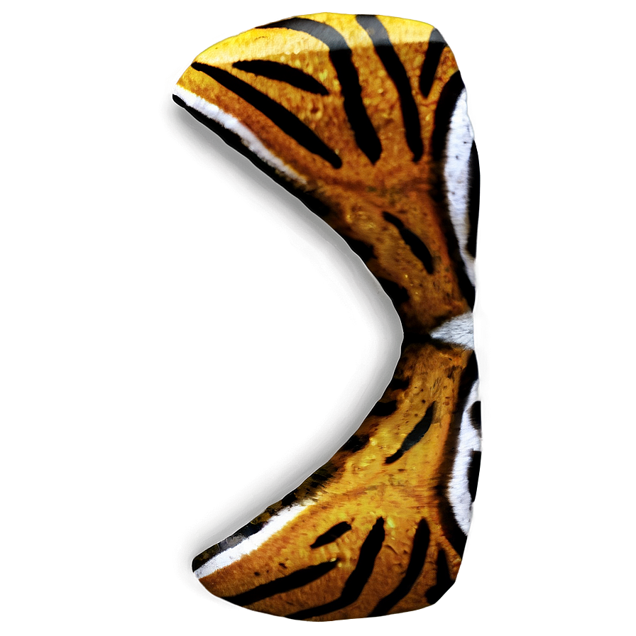 Tiger Print PNG 06252024 PNG with transparent background