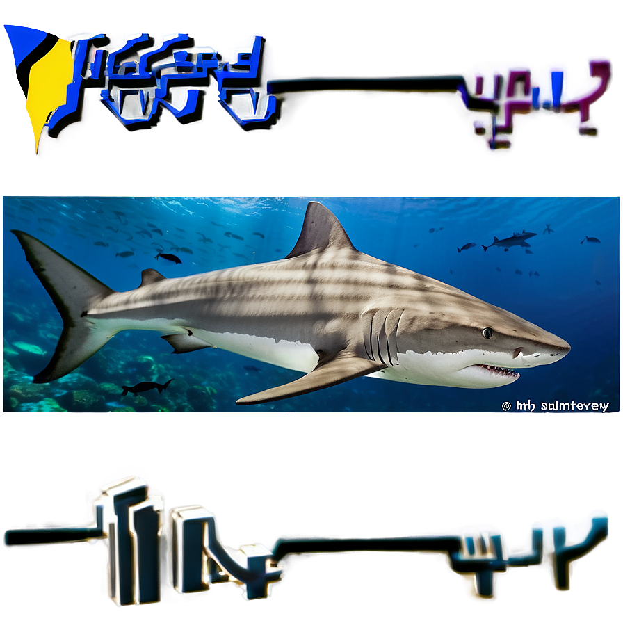 Tiger Shark With Shipwreck Png 40