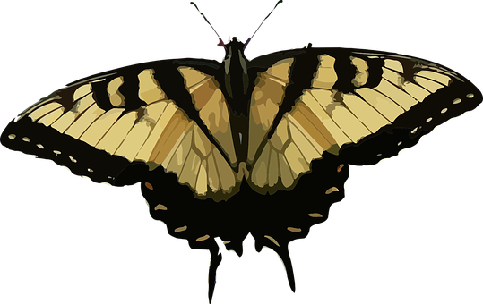 Tiger Swallowtail Butterfly Silhouette