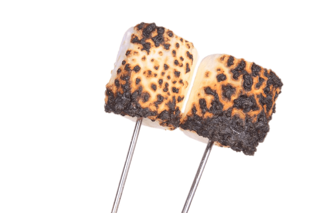 Toasted Marshmallowson Sticks PNG with transparent background