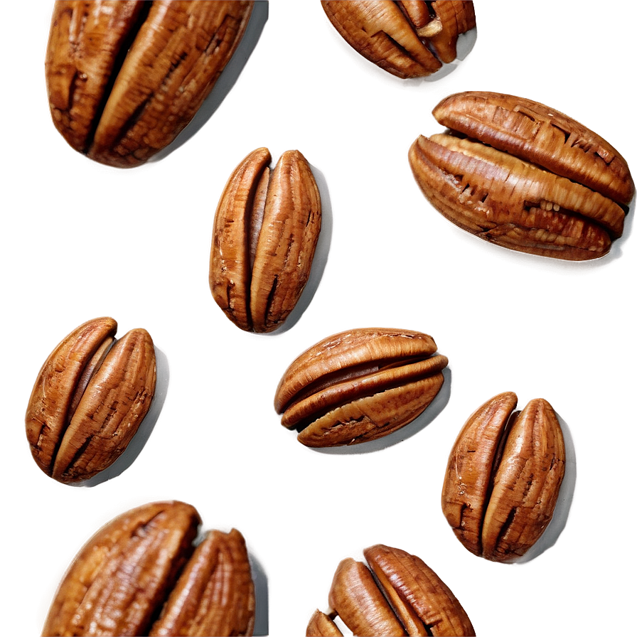 Toasted Pecan PNG agp77 PNG with transparent background